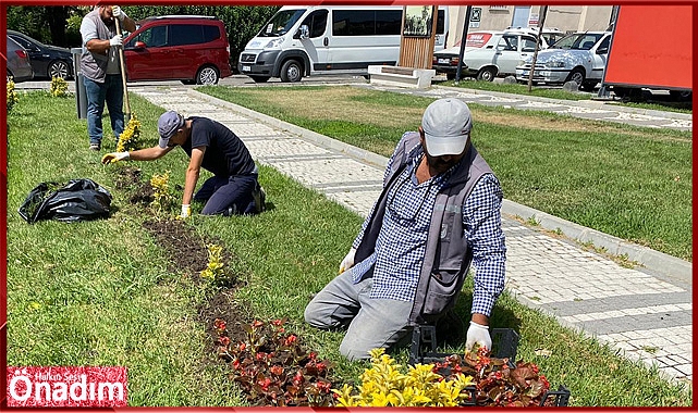 Peyzaj ve Çevre Düzenleme Çalışmaları Başladı