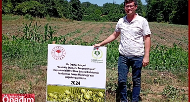 Proje Kapsamında Kontroller Yapıldı