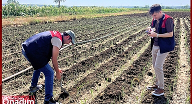 Vize İlçesinde Toprak Numuneleri Alındı