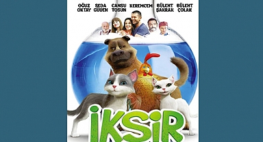 Açık Hava Sinema Geceleri Devam Ediyor