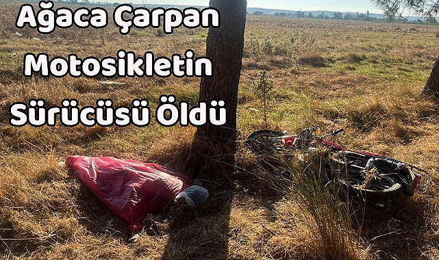 Ağaca Çarpan Motosikletin Sürücüsü Öldü