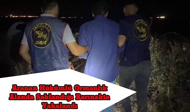 Aranan Hükümlü Ormanlık Alanda Saklandığı Barınakta Yakalandı