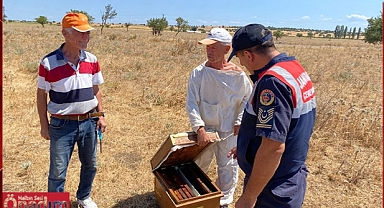 Arıcılarla Eşgüdüm Çevre Gözlemi Devam Ediyor