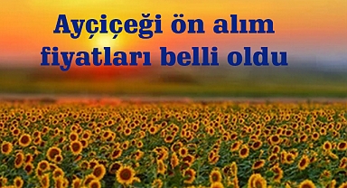 Ayçiçeği ön alım fiyatları belli oldu