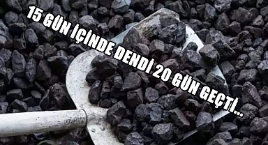 Çalışmalar Başlamadı Vatandaşlar Kömür Alma Konusunda İkilemde Kaldı