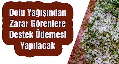 Dolu Yağışından Zarar Görenlere Destek Ödemesi Yapılacak