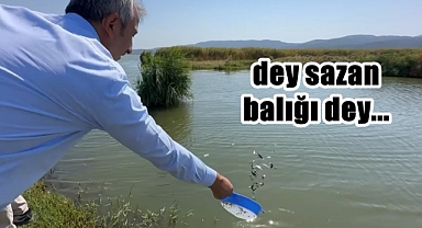 Edirne’de Bu yıl 10 milyon Yavru Sazan Üretildi