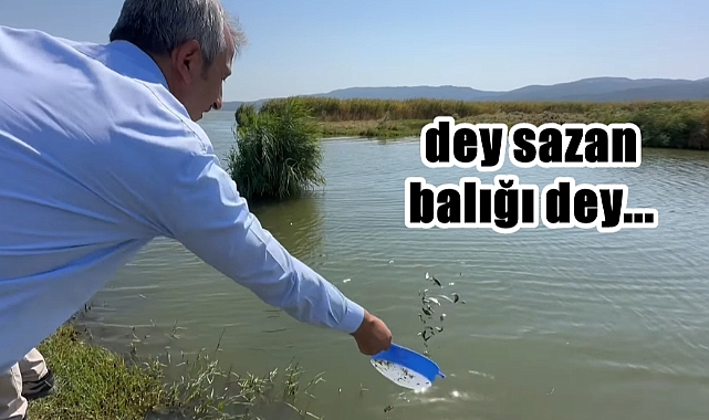 Edirne’de Bu yıl 10 milyon Yavru Sazan Üretildi