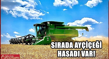 Edirne’de Buğday Hasadı Tamamlandı