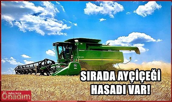 Edirne’de Buğday Hasadı Tamamlandı