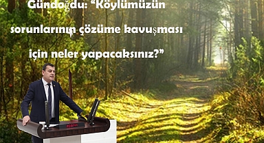 Gündoğdu: