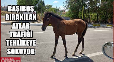 Hipodrom Değil Ana Cadde!
