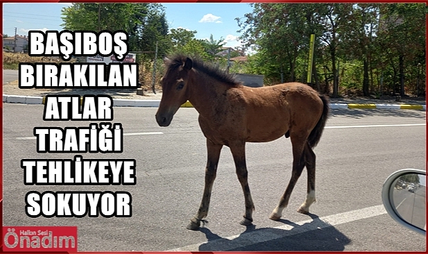 Hipodrom Değil Ana Cadde!