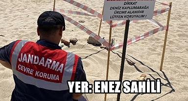 Jandarma Kaplumbağa Üreme Alanlarına Gözü Gibi Bakıyor