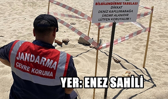 Jandarma Kaplumbağa Üreme Alanlarına Gözü Gibi Bakıyor