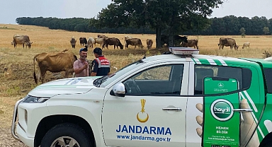 Jandarmadan Sürü Çobanlarına Hayati Uyarılar