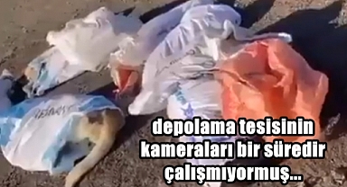 Kan Donduran Vahşet İle İlgili Soruşturma Sürüyor