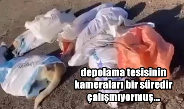 Kan Donduran Vahşet İle İlgili Soruşturma Sürüyor