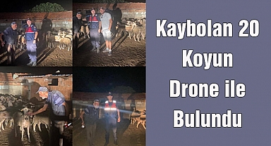 Kaybolan 20 Koyun Drone ile Bulundu