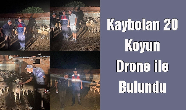 Kaybolan 20 Koyun Drone ile Bulundu