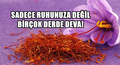 Ruhsal Sağlınızın Doğal İlacı; Safran!