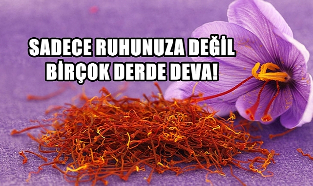 Ruhsal Sağlınızın Doğal İlacı; Safran!