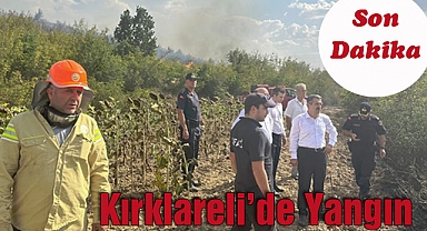 Son Dakika; Kırklareli’de Yangın