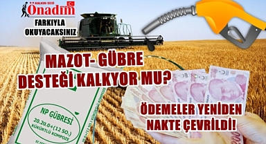 Tarımda Yeni Destekleme Modelini Tane Tane Yazdık!
