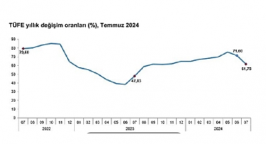 Tüketici Fiyat Endeksi Temmuz 2024 Basın Bülteni