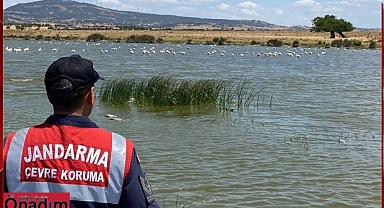Yaban Hayatının Korunması İçin Devriyedeler