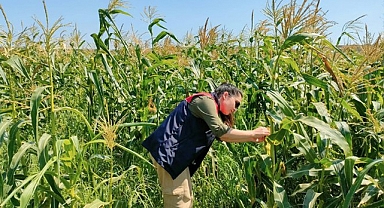 Yerli tohumlar milli anahtarımızdır