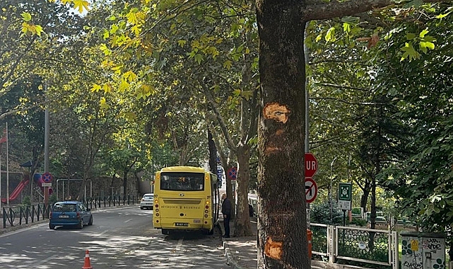 Ağaca Çarpan Otobüsteki 5 Yolcu Yaralandı
