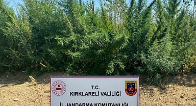 Ağustos Ayında 48 Kaçakçılık Olayına Müdahale Edildi