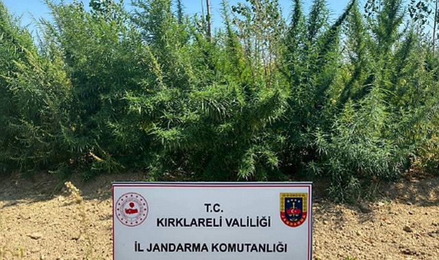Ağustos Ayında 48 Kaçakçılık Olayına Müdahale Edildi