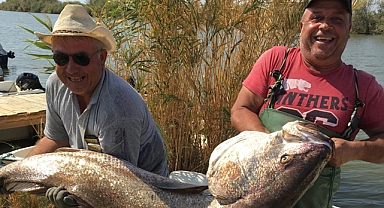 Balıkçılar 41 Kilogramlık Granyöz Balığı Yakaladı