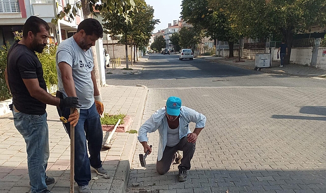 Belediye Çalışmaları Her Alanda Devam Ediyor