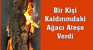 Bir Kişi Kaldırımdaki Ağacı Ateşe Verdi