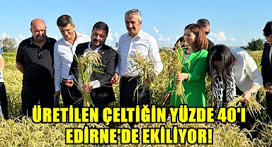 Çeltiğin Başkenti Edirne!