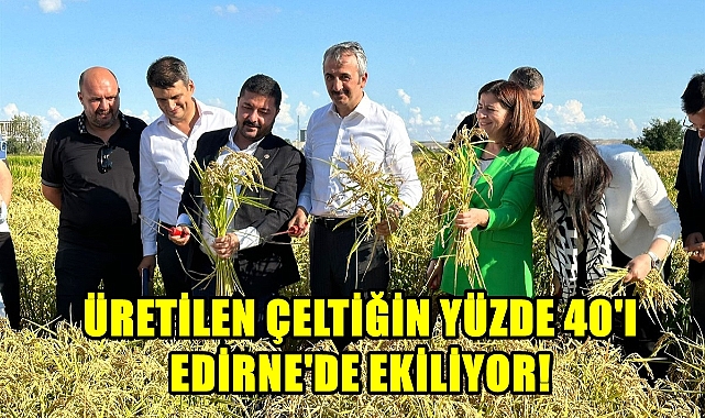 Çeltiğin Başkenti Edirne!