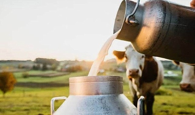 Çiğ Süt Prim Desteğini Bekleyenlere Müjde!