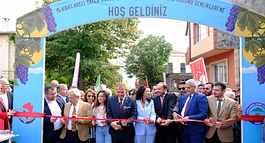 Kırklareli'nde Bağ Bozumu Şenlikleri Başladı