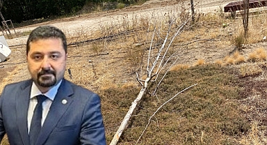 “Millet bahçesi yapmak istediler fidanları kuruttular”
