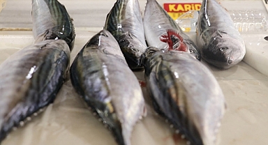 Rötarlı 