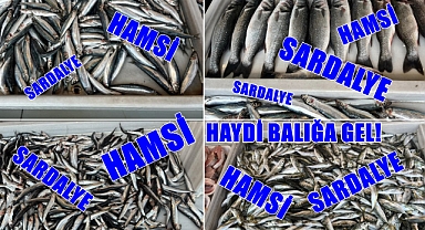 Uzunköprü’de Balık Tezgahları Şenlendi