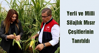 Yerli ve Milli Silajlık Mısır Çeşitlerinin Tanıtıldı