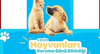 Belediye'den Hayvan Sahiplendirme Şenliği