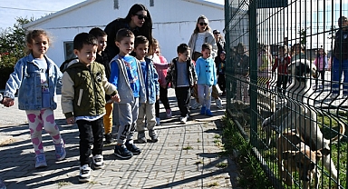 Can Dostlara Miniklerden Ziyaret