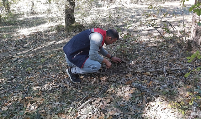 Edirne Genelinde Geniş Çaplı Süne Değerlendirmesi Başladı