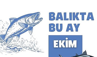 Ekim Ayında Hangi Balıklar Tüketilir?