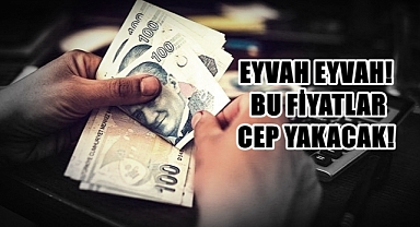 2025 Yılı Harç Ceza ve Vergiler Fiyatları Belli Oldu!